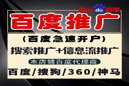 揭秘百度竞价排名：实战案例解析